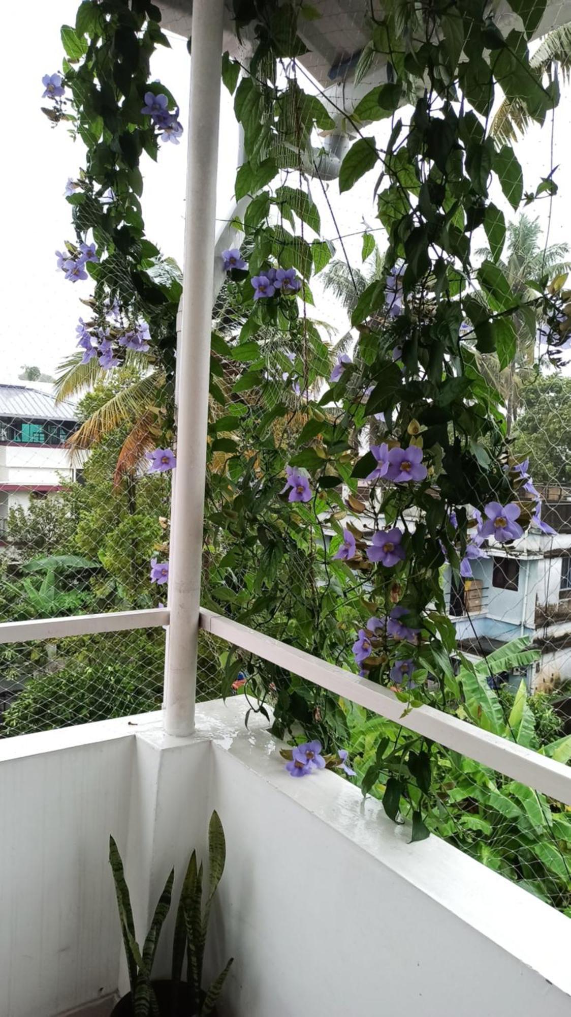 Bethesda Inn Kochi Kültér fotó